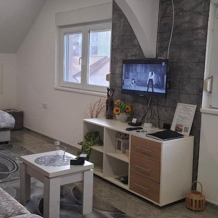 Apartments Ivanovic Center City Баина-Башта Экстерьер фото